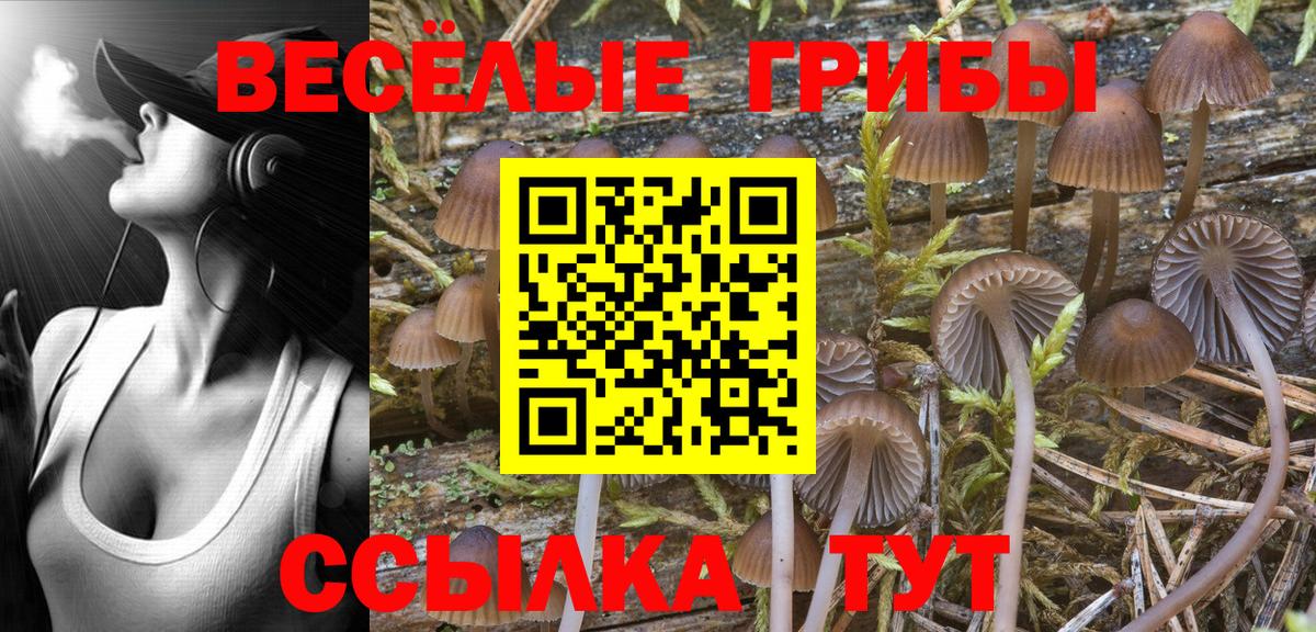 Псилоцибиновые грибы Psilocybine cubensis  Псилоцибиновые грибы Psilocybe  Вход с VPN  Отрадный 