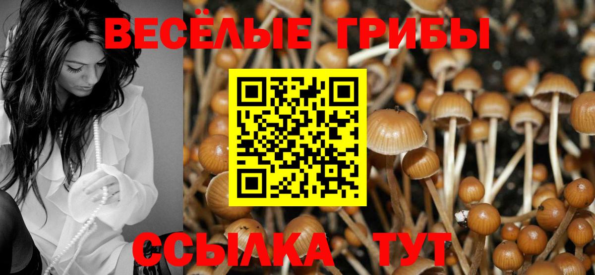 Галлюциногенные грибы мухоморы Отрадный